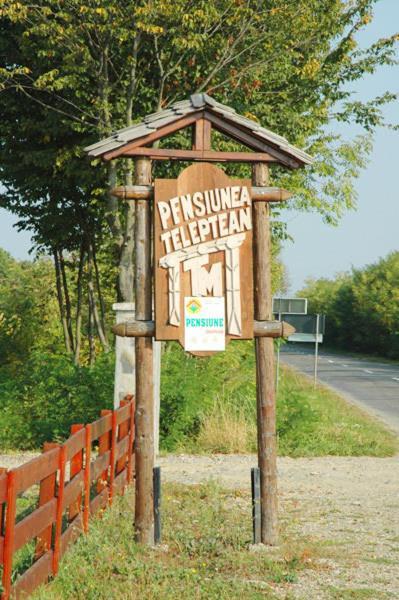 Pension Teleptean Ocna Şugatag 外观 照片