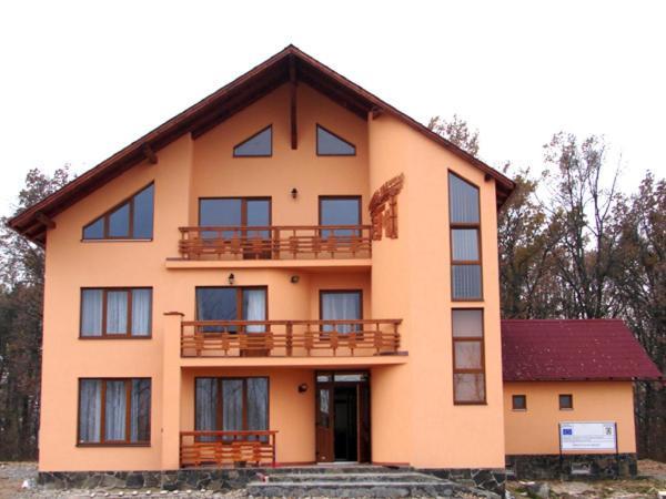 Pension Teleptean Ocna Şugatag 外观 照片
